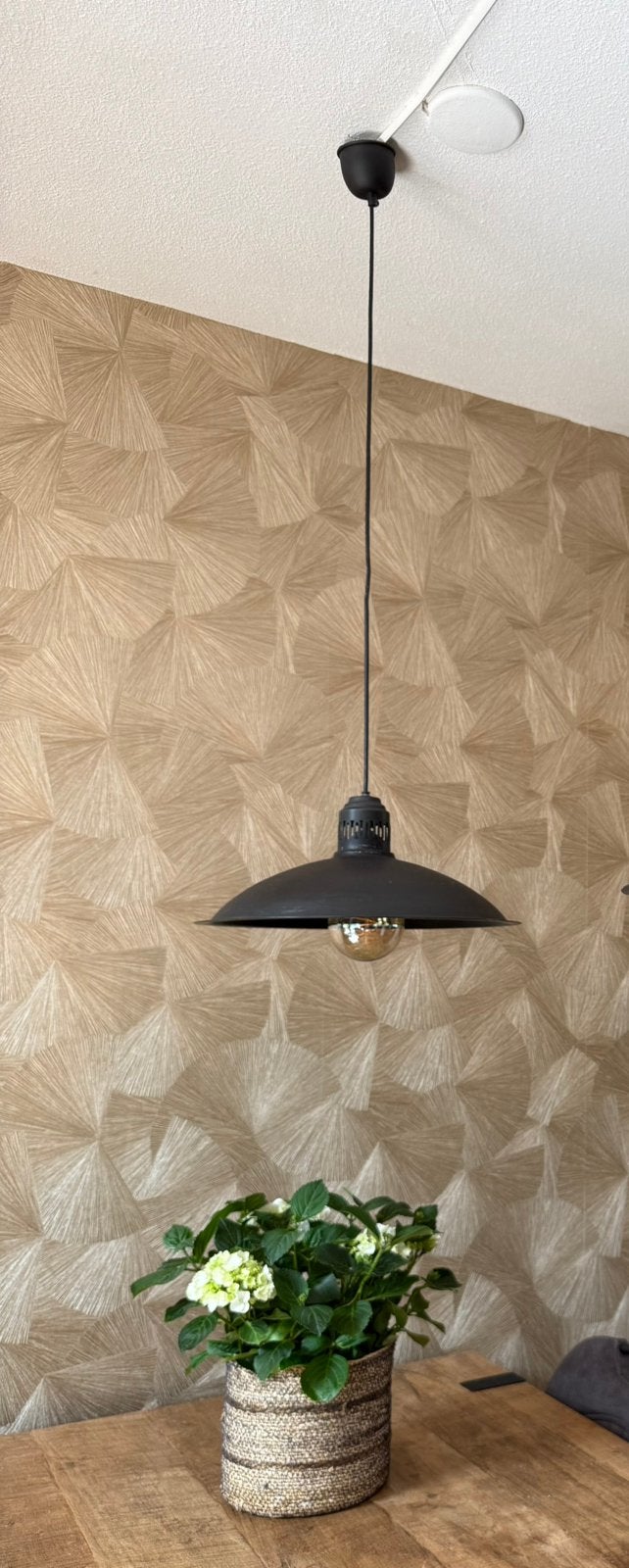 Zwarte industriële hanglamp van het merk Riverdale, Ophalen, Zo goed als nieuw, Metaal