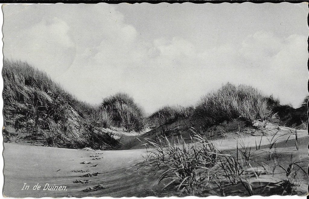 Loosduinen?, In de Duinen, helmgras, duin, Verzenden, 1940 tot 1960, Gelopen, Zuid-Holland