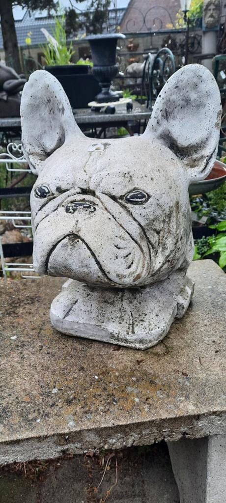 Betonnen Franse Bulldog Beeld - Tuin of Decoratie, Ophalen, Gebruikt, Beton, Dierenbeeld
