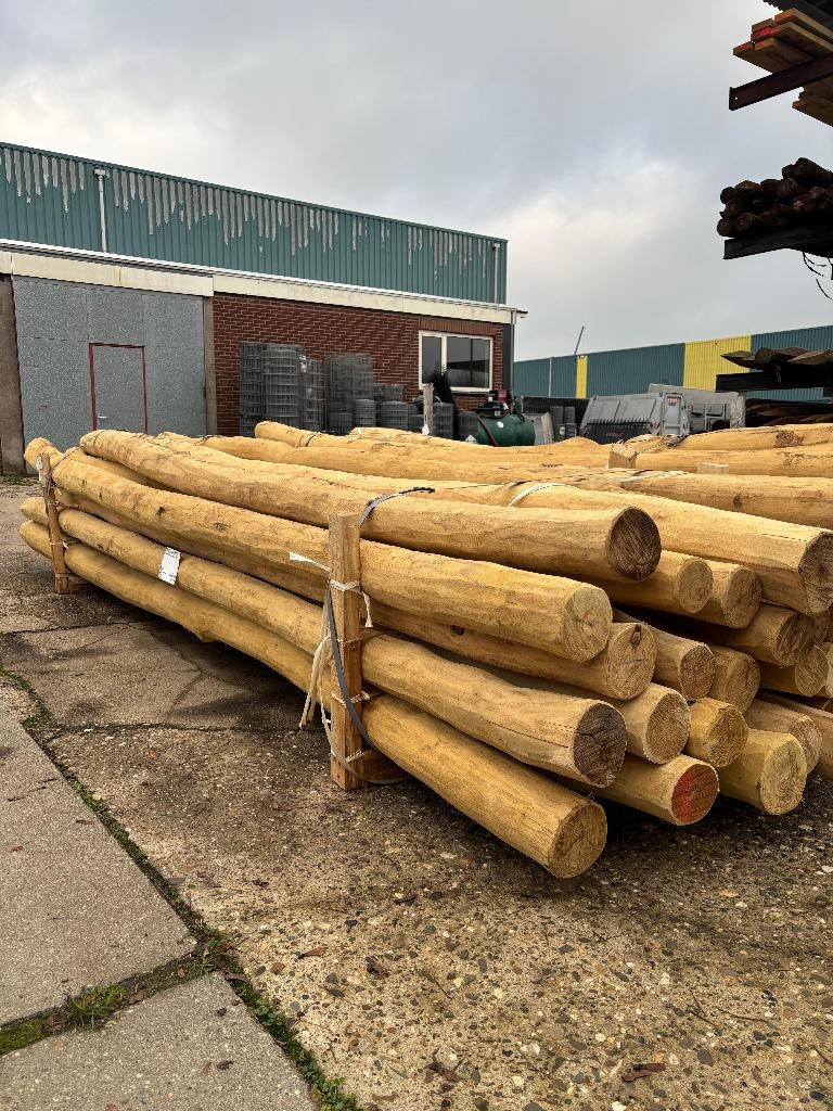 Spintvrije Robinia palen Ø11-14x400cm, Palen, Nieuw, Ophalen of Verzenden, Hardhout