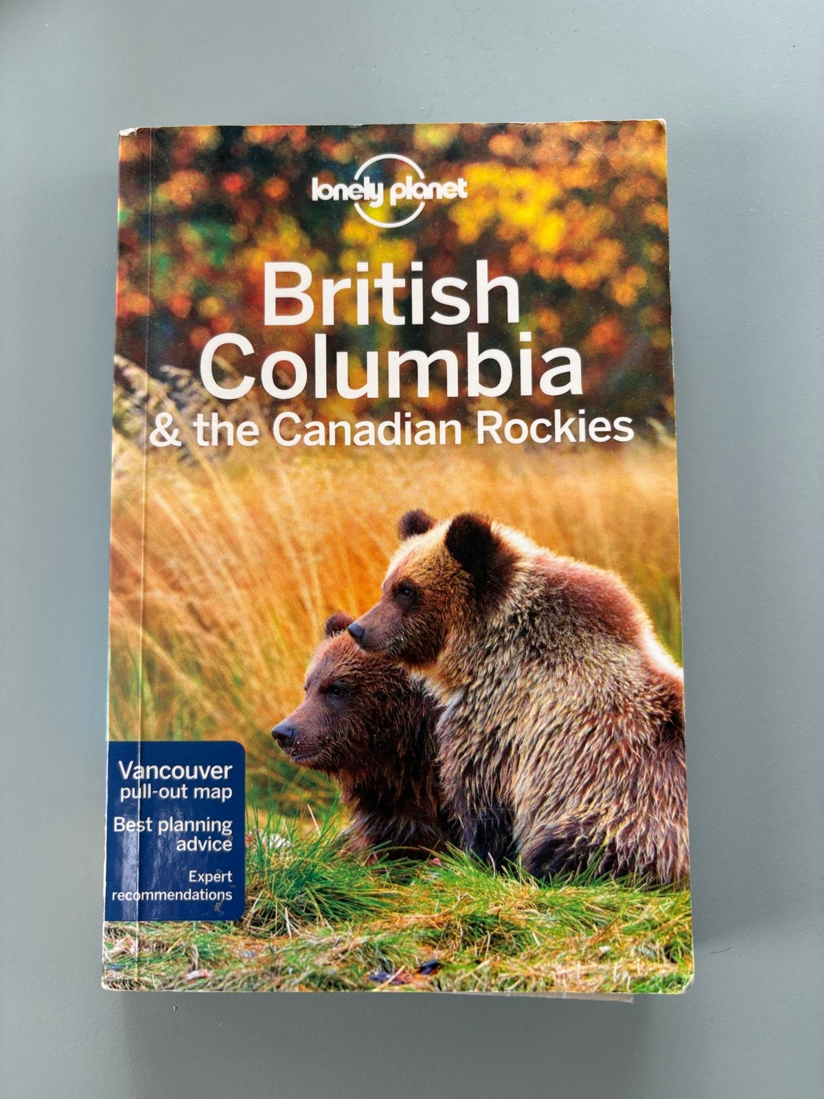 Lonely Planet British Columbia & Canadian Rockies, Lonely Planet, Ophalen of Verzenden, Zo goed als nieuw, Reisgids of -boek