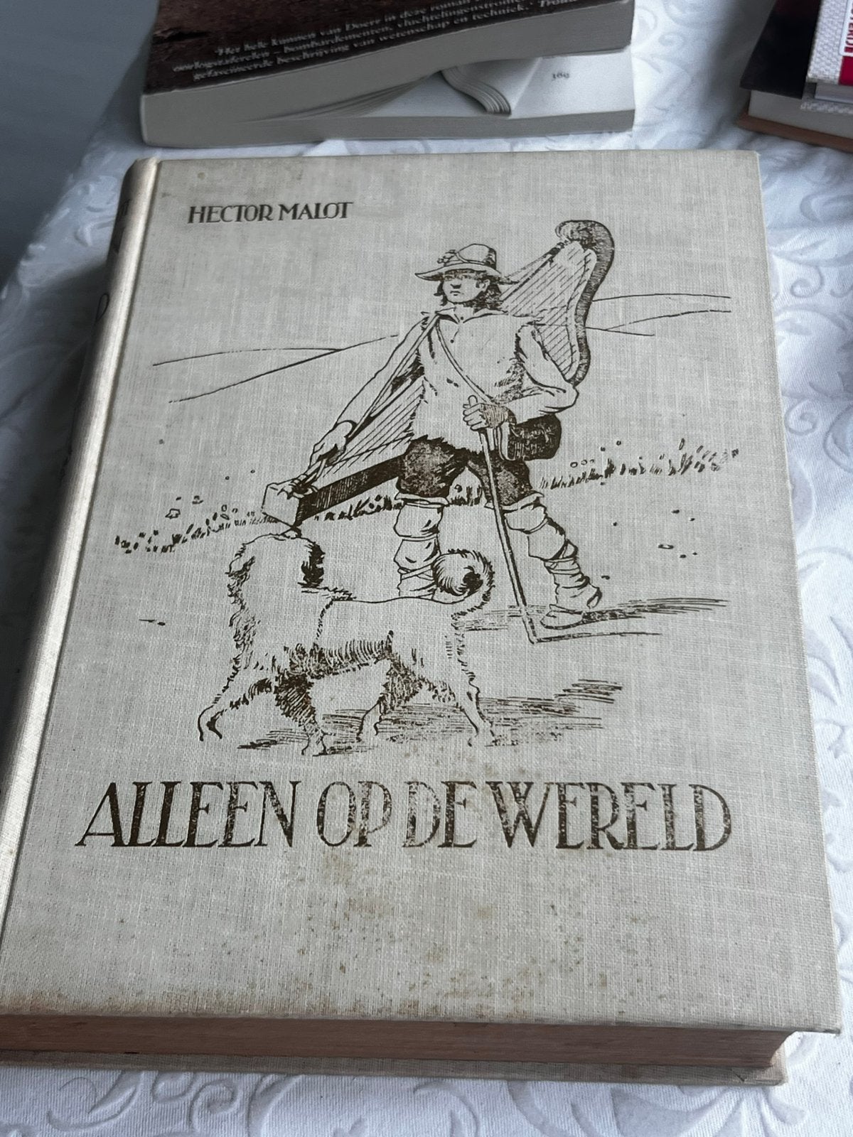 Boek vinteg Alleen op de wereld. Speciale uitgave 26e druk, Verzenden, Zo goed als nieuw
