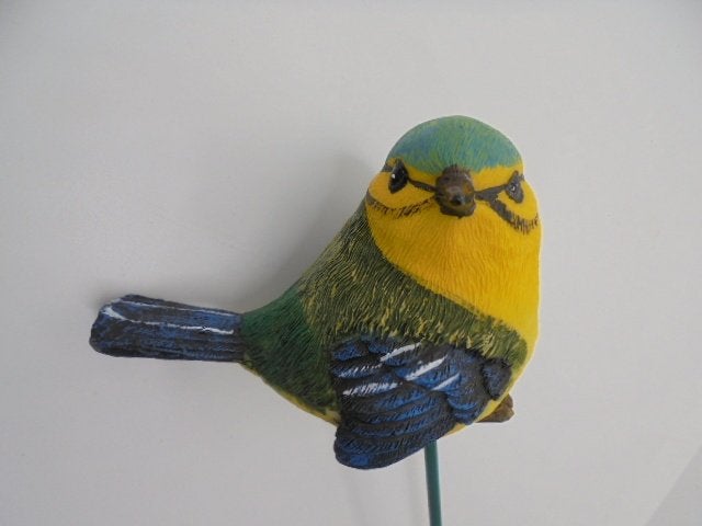 STEKER VOGEL MEESJE WARE GROTE NIEUW, -, -, Nieuw, Ophalen of Verzenden