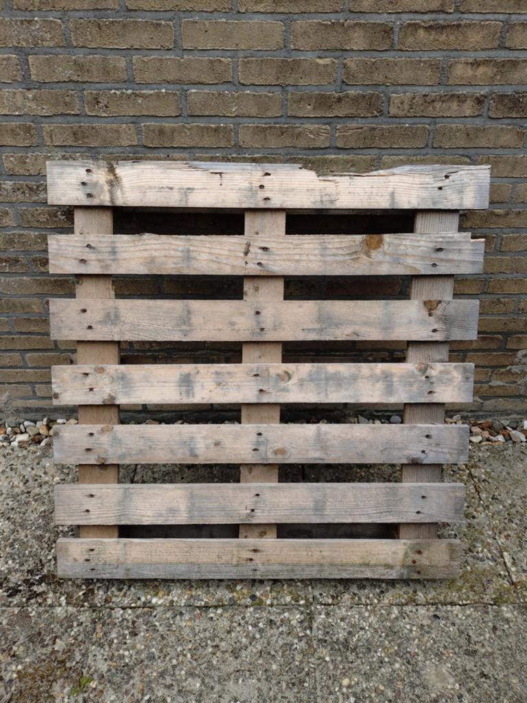 Pallet, Doe-het-zelf en Verbouw, Hout en Planken, Ophalen, Vuren, Minder dan 200 cm, Pallet