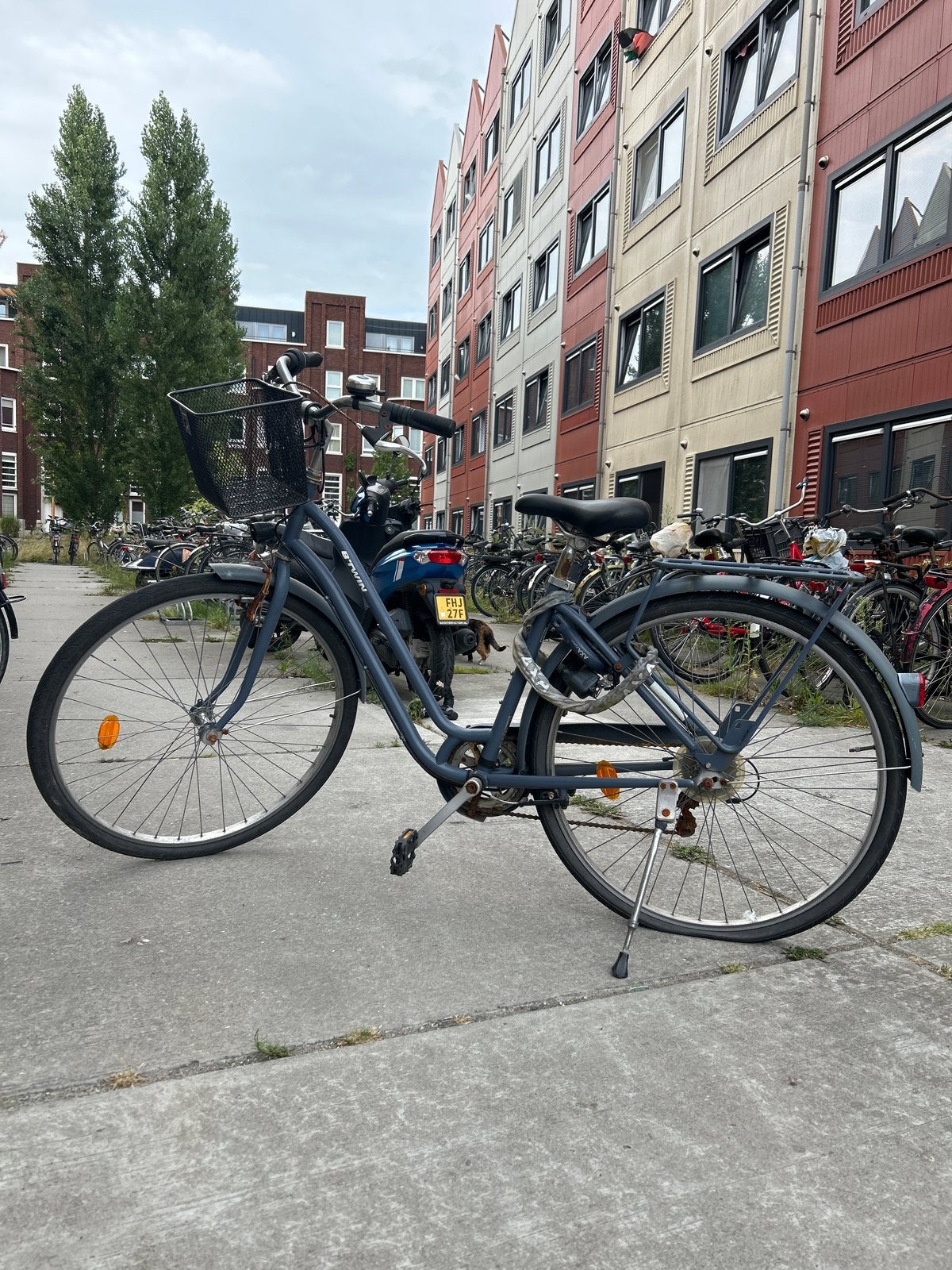 B'twin Elops 120 stadsfiets met mandje voorop, Gebruikt, Velgrem, Versnellingen, Ophalen