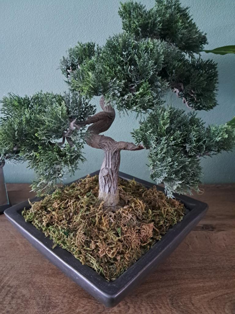 Kunst bonsai boom 40 cm, Ophalen, Bloeit niet, Overige soorten, Minder dan 100 cm