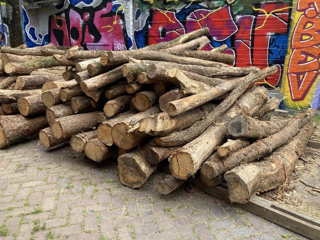 16 m3 houten stammen 2 - 2,5m, vooral eiken, Tuin en Terras, Haardhout, 6 m³ of meer, Ophalen, Eikenhout, Stammen