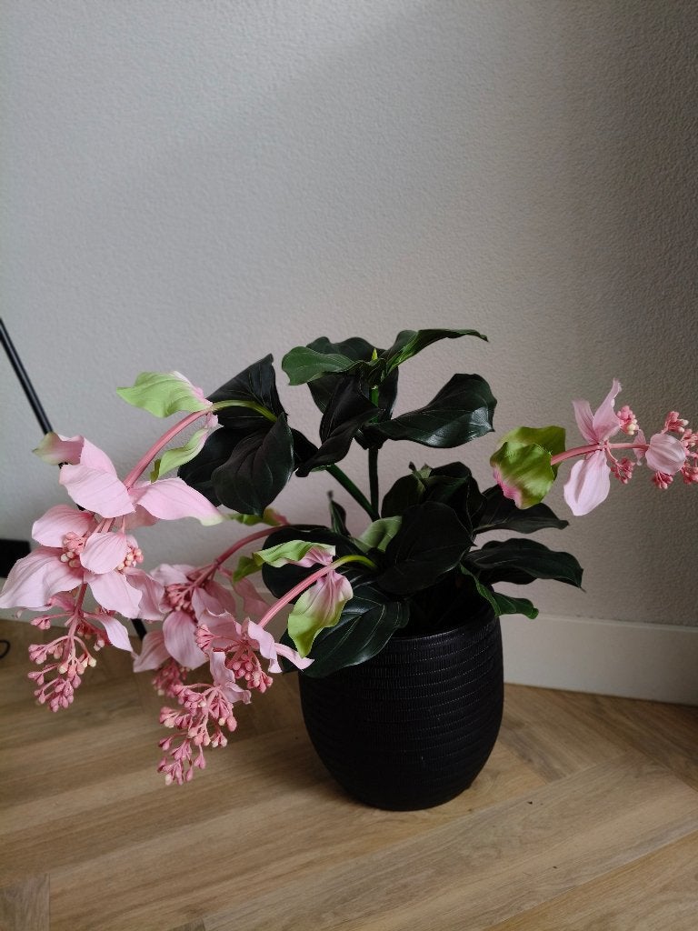 Kunst plant, Ophalen, Roze, Kunstbloem, Zo goed als nieuw