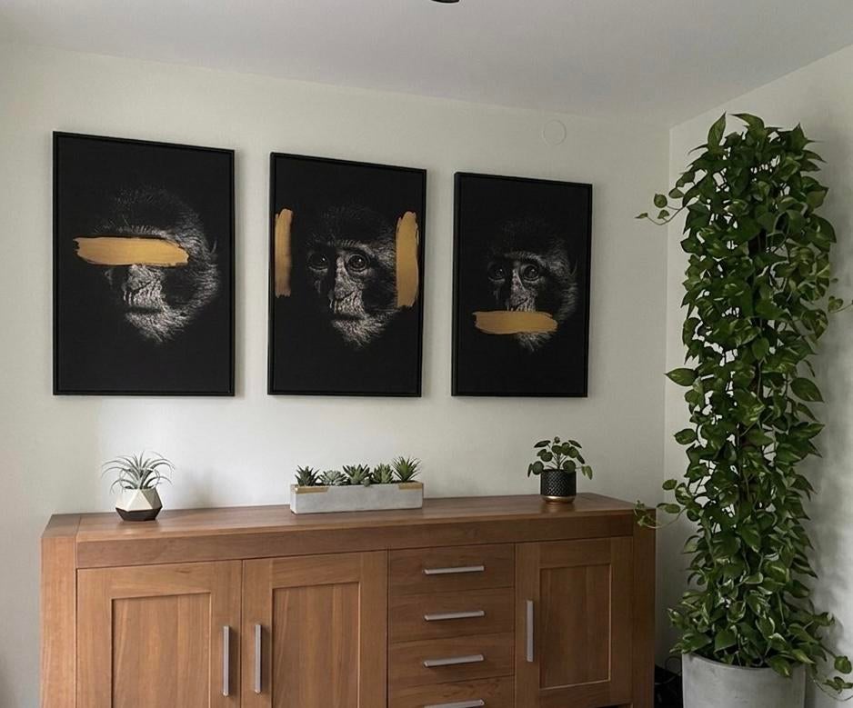 Set van 3 apen schilderijen Wallfield, Ophalen, Oorspronkelijke maker, Zo goed als nieuw, Schilderij
