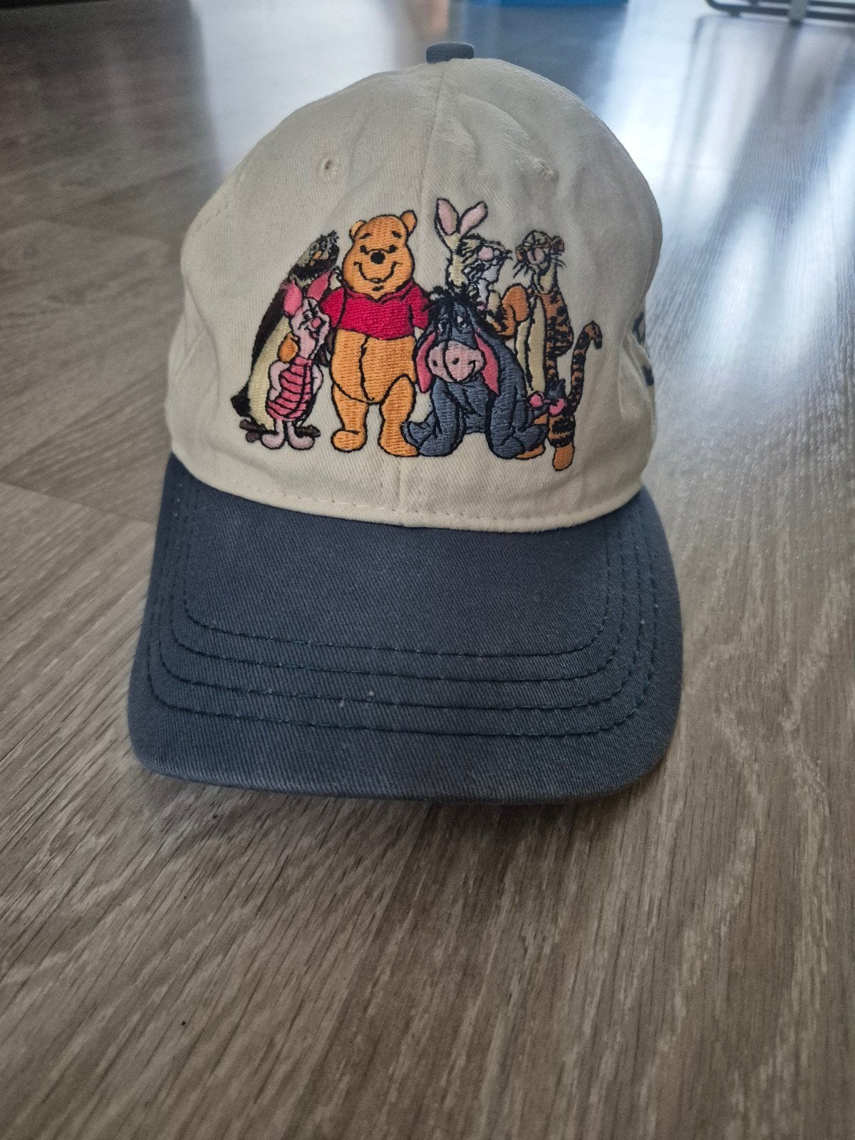 Disney World Pet voor Volwassenen - Geborduurde Figuren, Disney, One size fits all, Ophalen of Verzenden, Pet