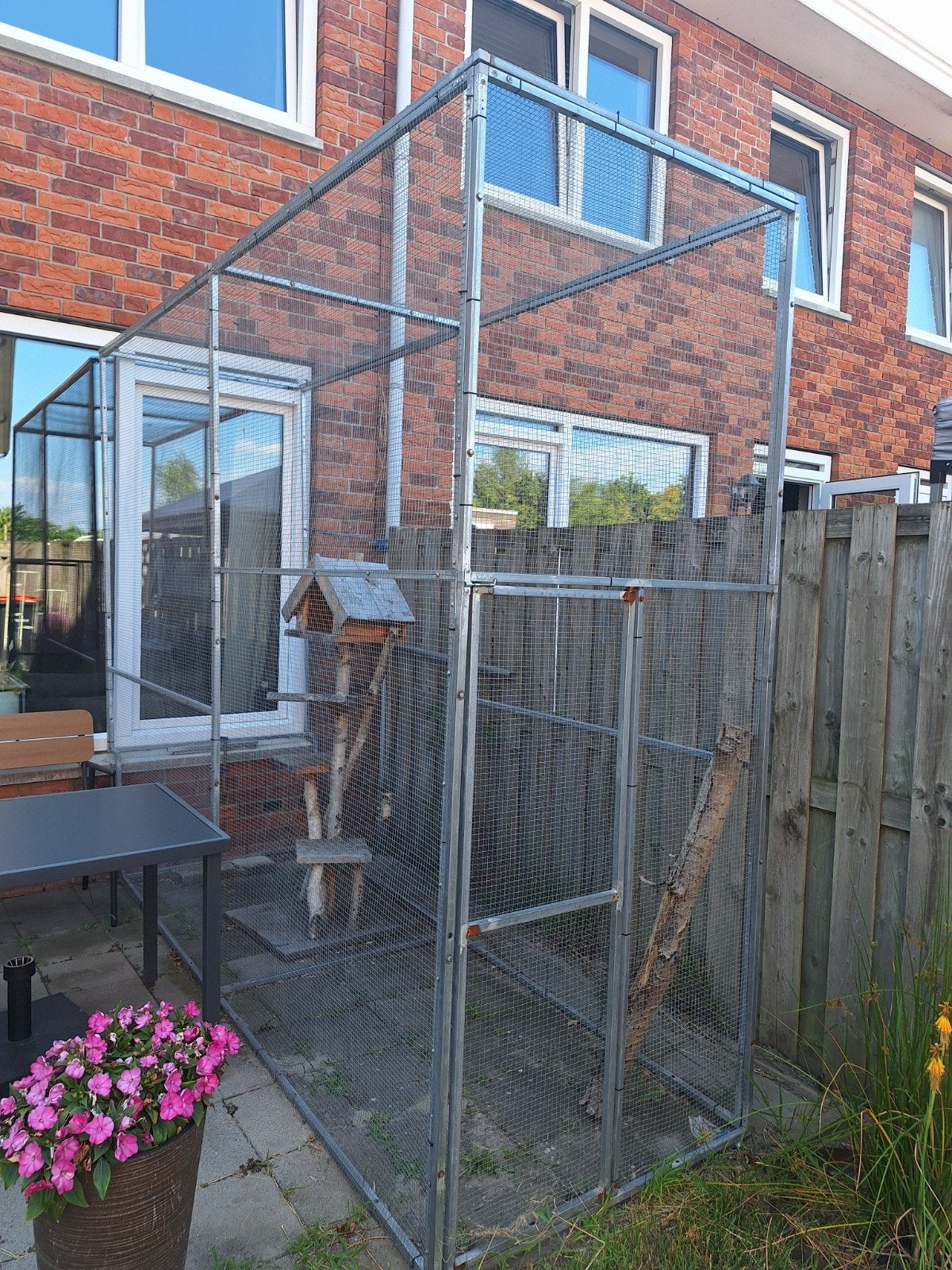 Kattenren, Dieren en Toebehoren, Ophalen, Gebruikt