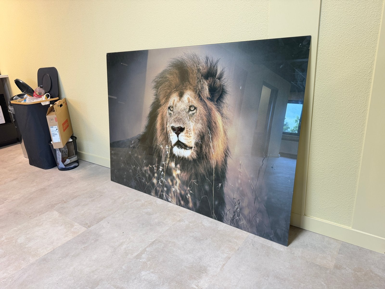 Groot formaat wanddecoratie: majestueuze leeuw, Ophalen, Gebruikt, Print, 100 tot 125 cm