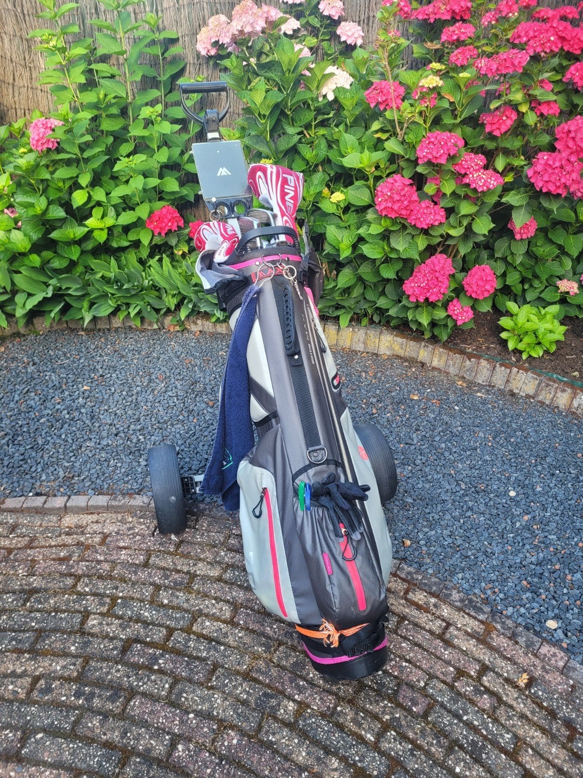 Complete linkshandige dames golfset Ping/Wilson, Ophalen of Verzenden, Gebruikt, Set, Ping