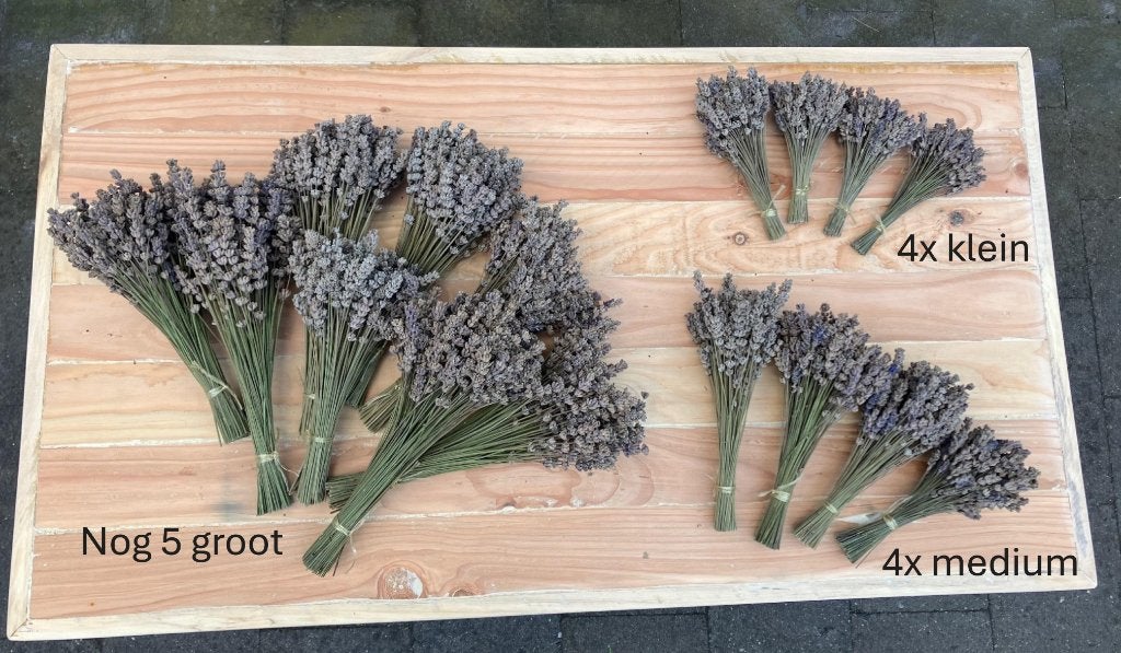 Bosjes gedroogde Lavendel, Ophalen of Verzenden, Zo goed als nieuw