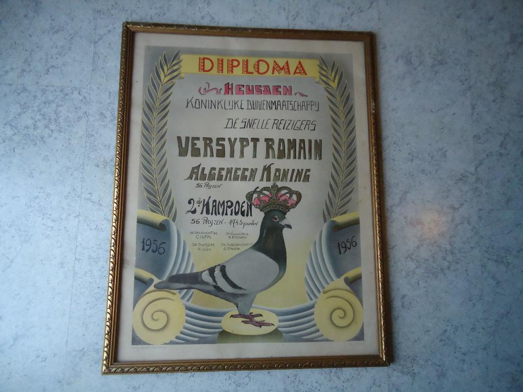Diploma prijs 2e kampioen Duivensport Heusden1956 in lijst, Verzenden