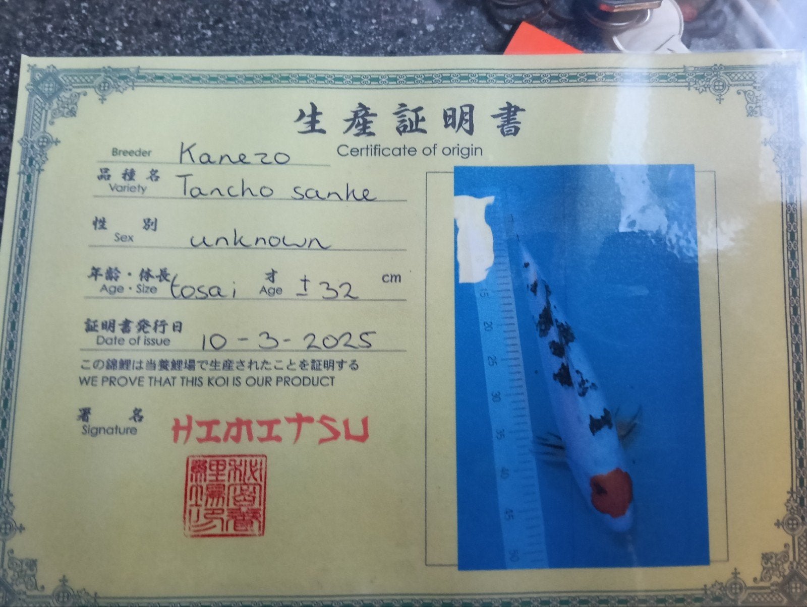 Japanse koi, Karper of Koi
