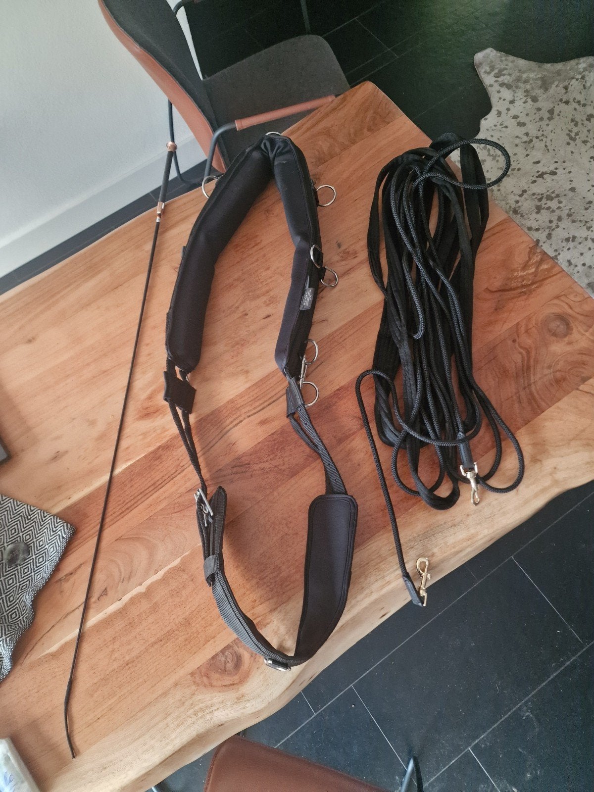 Paardensportartikele, Dieren en Toebehoren, Ophalen, Nieuw, Dressuur