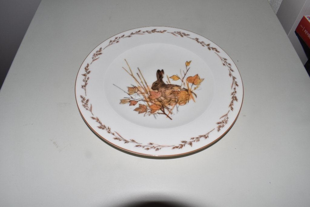 Dinerbord Haas Natuurservies Tettau, Info@detagrijn.com, Overige merken, Nieuw, Ophalen of Verzenden