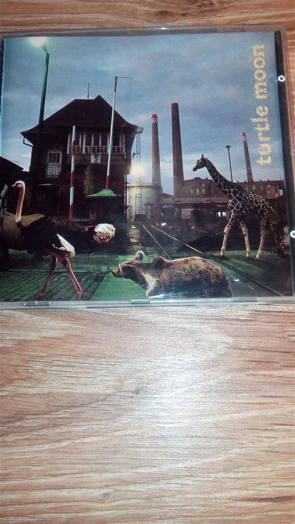 Turtle Moon - Turtle Moon, Ophalen of Verzenden, Zo goed als nieuw
