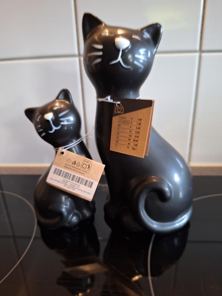 Katten koppel € 10.00., Ophalen of Verzenden