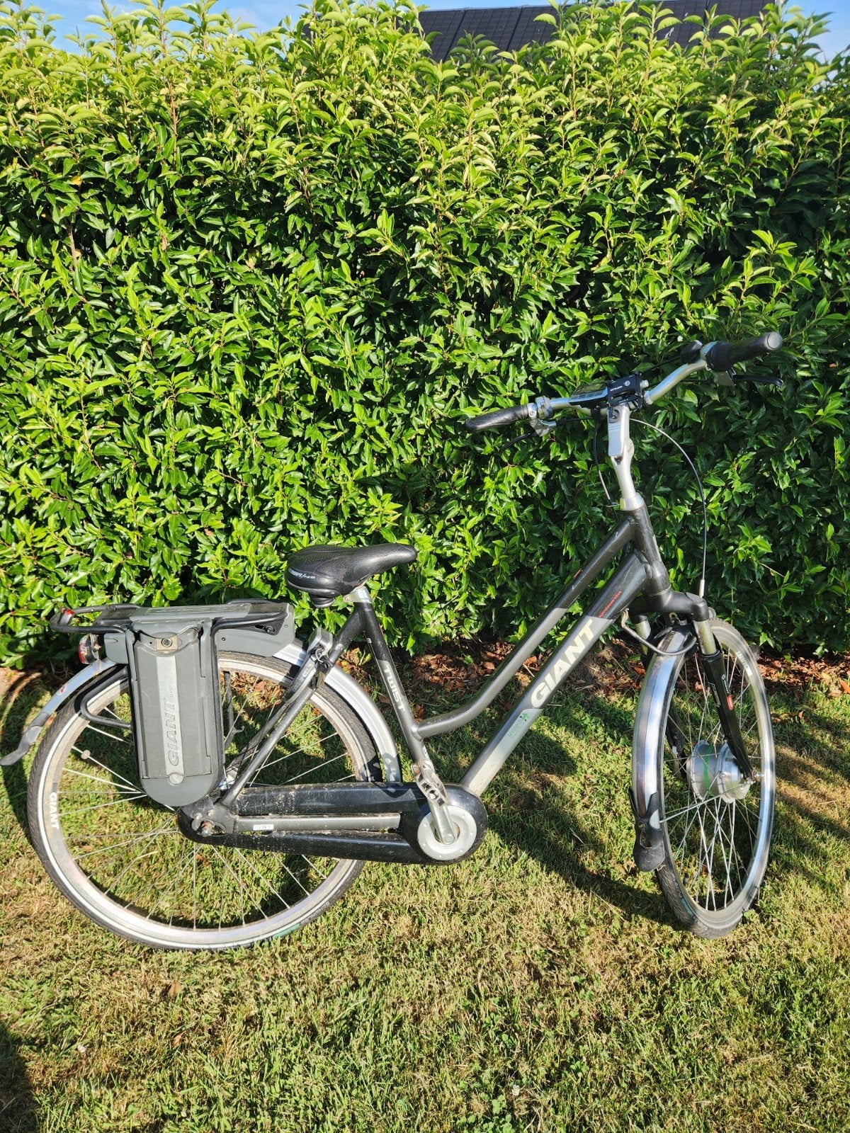 Giant elektrische fiets  Accu DEFECT, Ophalen, Gebruikt