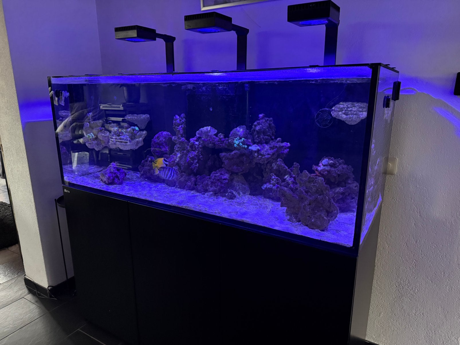 Red sea 525 compleet 1.50 lang, Ophalen of Verzenden, Zo goed als nieuw, Leeg aquarium