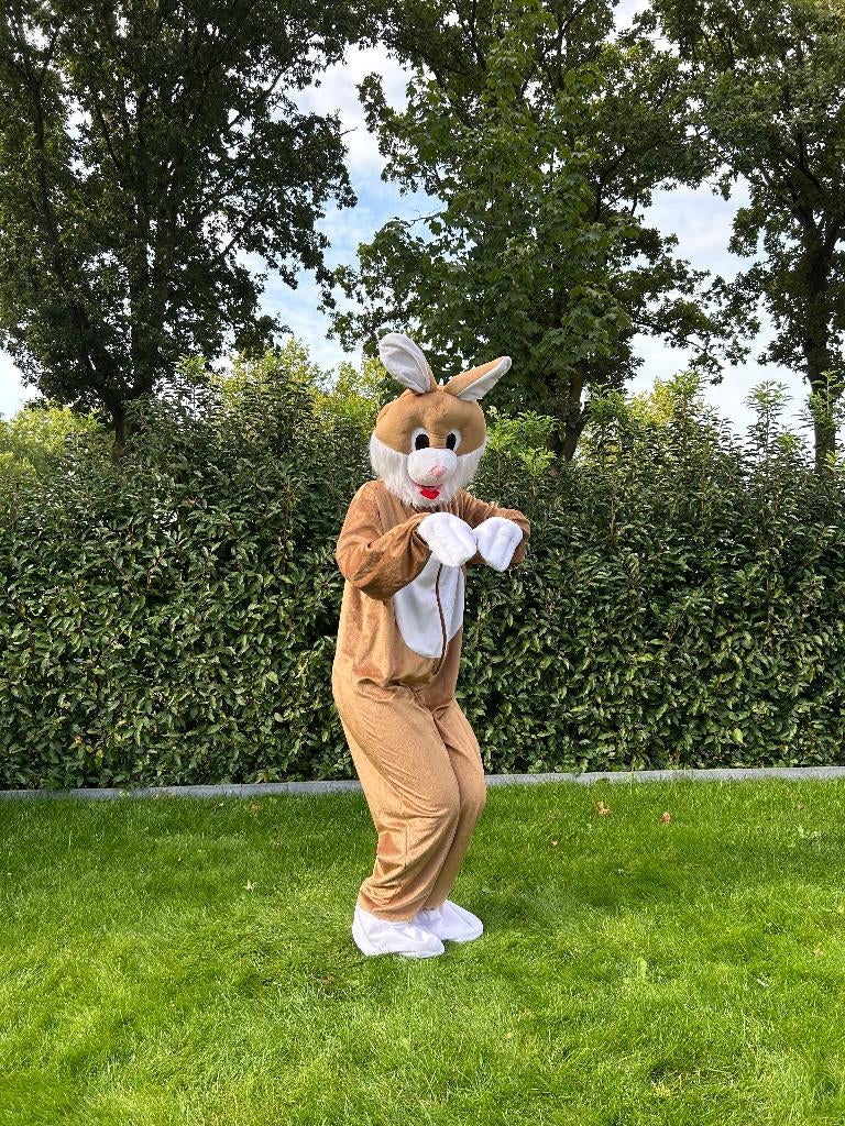 Te Huur: Paashaas, Konijn-kostuum, Mascotte, Dieren, Ophalen of Verzenden, Zo goed als nieuw, Pasen