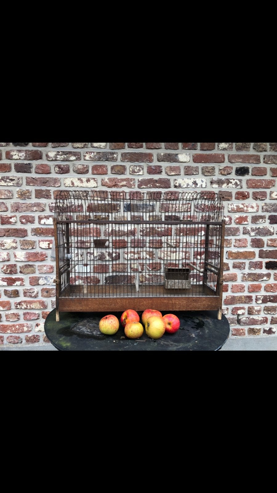 Franse vogelkooi, Antiek en Kunst, Ophalen of Verzenden