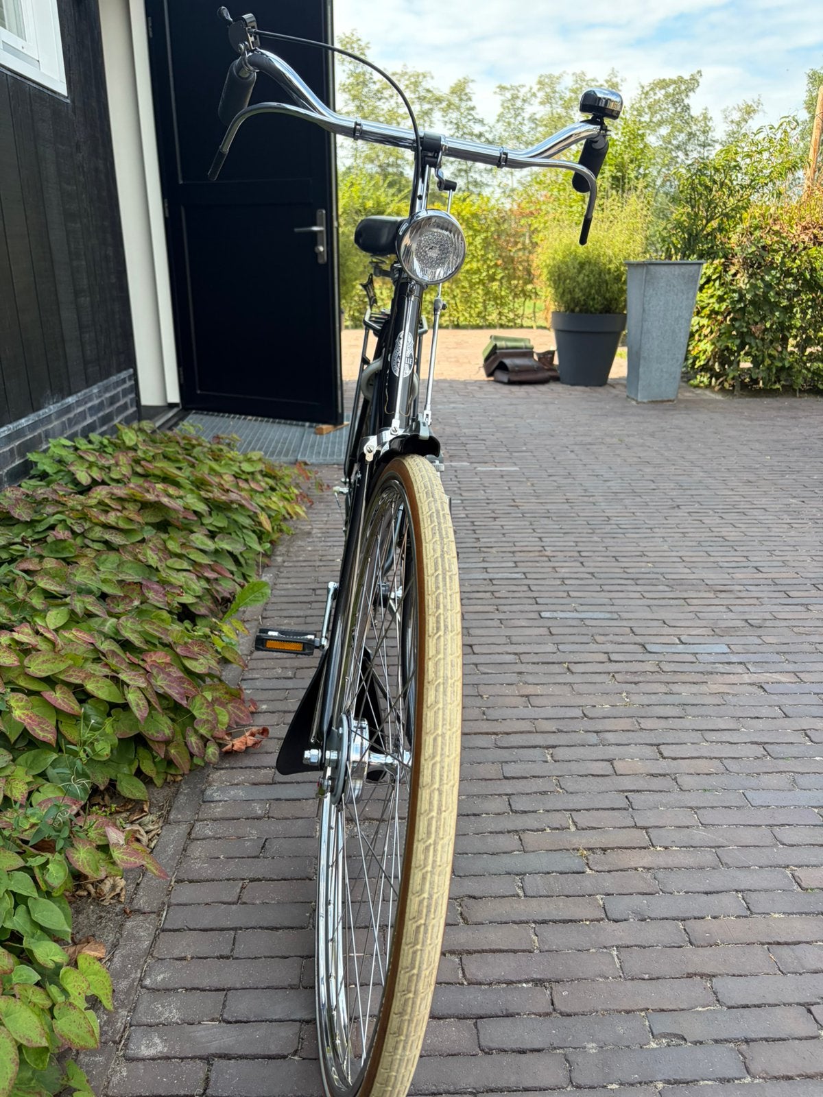 GAZELLE SPECIAAL, 55 tot 59 cm, Ophalen