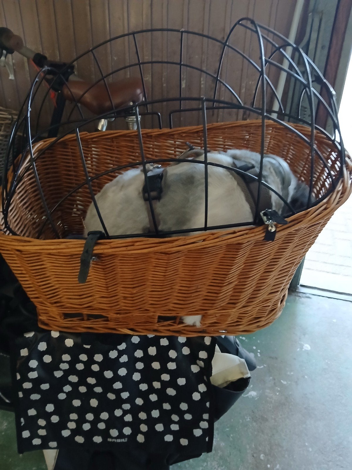 honden fietsmand, Basil, Ophalen of Verzenden, Gebruikt, Hondenfietsmand