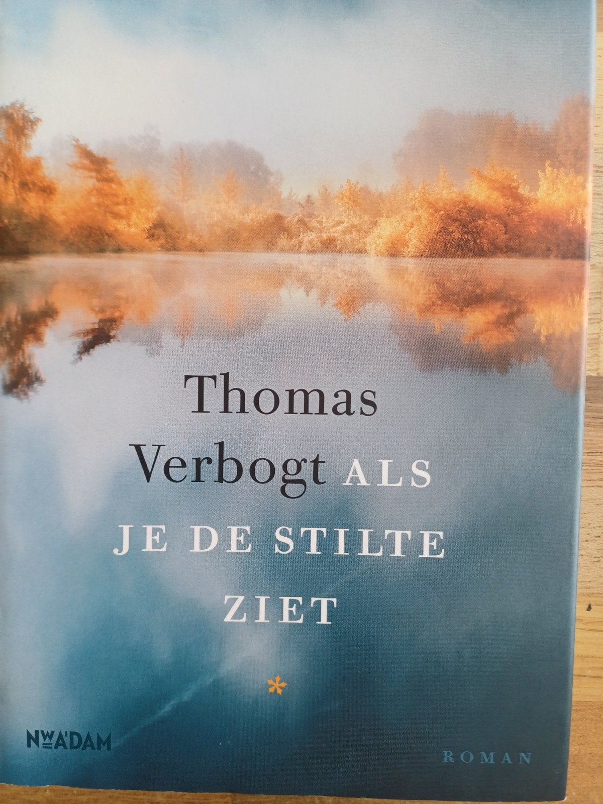 Thomas Verbogt - Als je de stilte ziet, Ophalen of Verzenden, Zo goed als nieuw, Thomas Verbogt