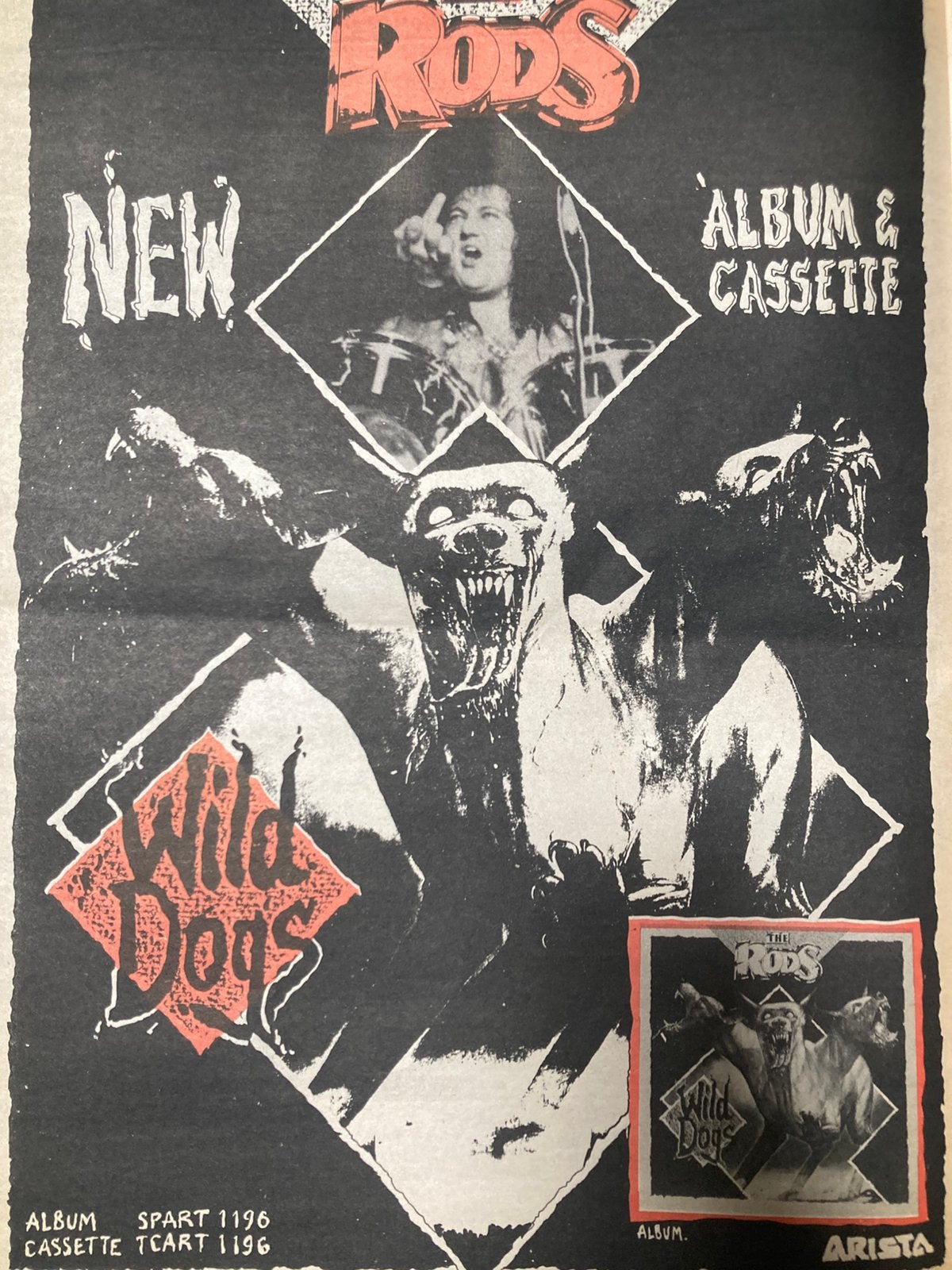 Paginagrote A3 advertentie THE RODS Wild Dogs release, Ophalen of Verzenden, Zo goed als nieuw