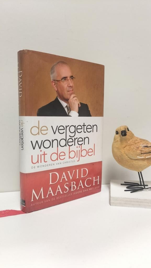 Maasbach, David; De vergeten wonderen uit de bijbel, Ophalen of Verzenden, Gelezen, Christendom | Protestants