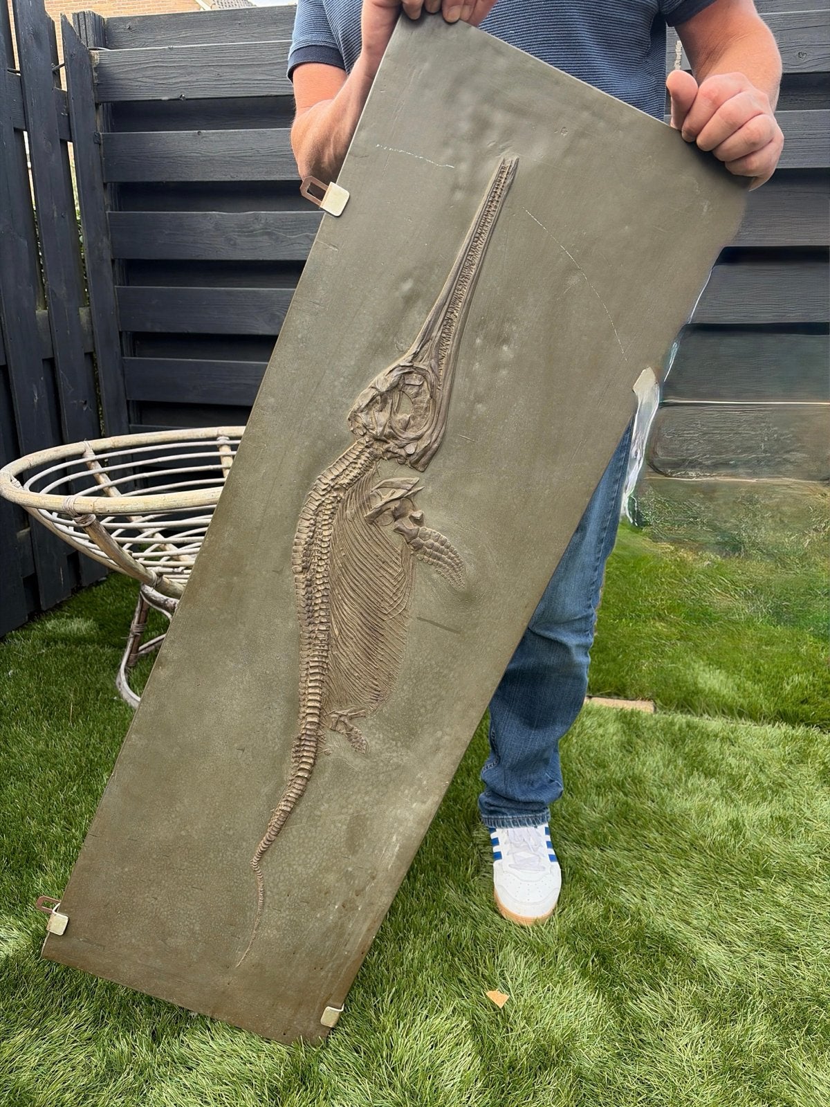 Indrukwekkend Ichthyosaurus Fossiel op Plaat, Ophalen of Verzenden, Fossiel