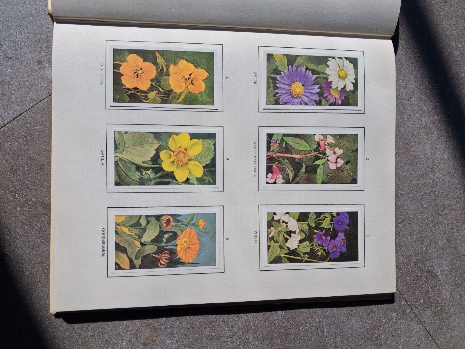 Jac. P. Thijsse Verkade Albums - Complete Set, Ophalen, Gelezen, Natuur algemeen