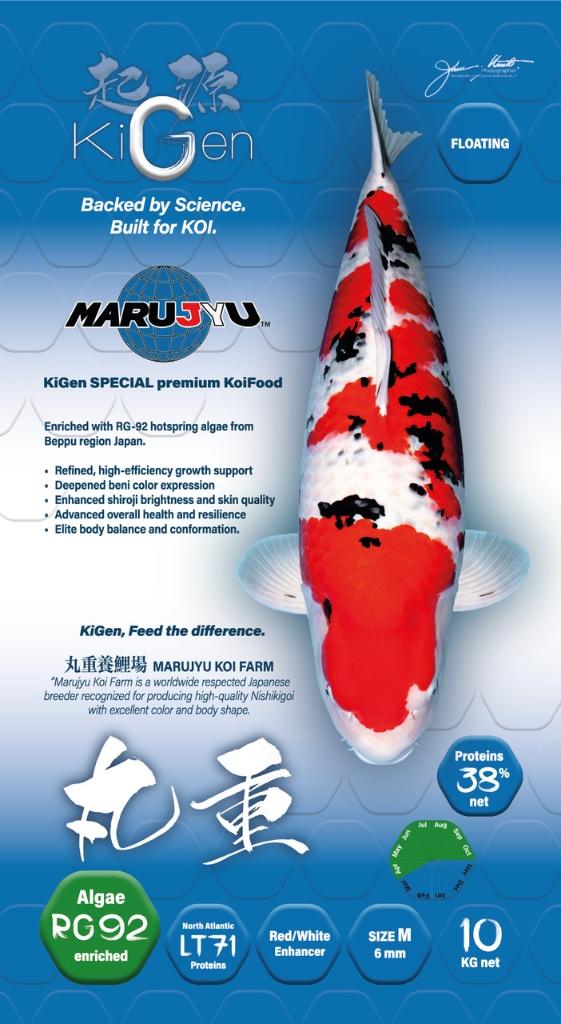 koi voer KiGen Marujyu, Karper of Koi
