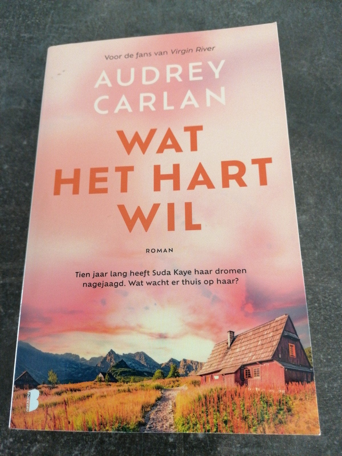 Wat het hart wil - Audrey Carlan (Roman), Ophalen of Verzenden, Gelezen, Audrey Carlan