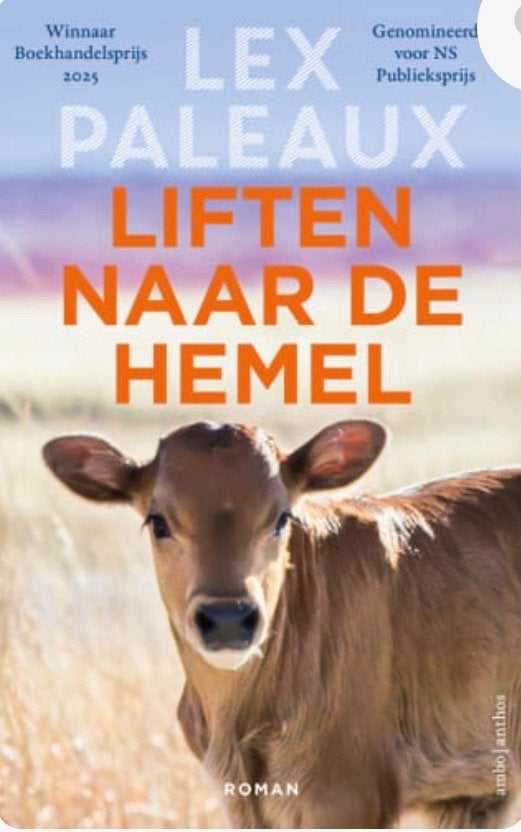 Lex Paleaux - Liften naar de Hemel (Roman) EBOOK, Ophalen, Zo goed als nieuw, Nederland