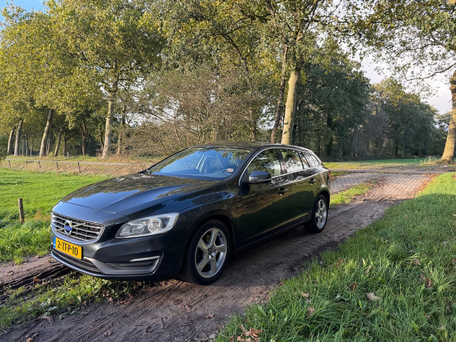 Volvo V60 D4 181pk Start/stop Geartronic 2014 Grijs, 1502 kg, 1800 kg, Euro 6, 4 cilinders