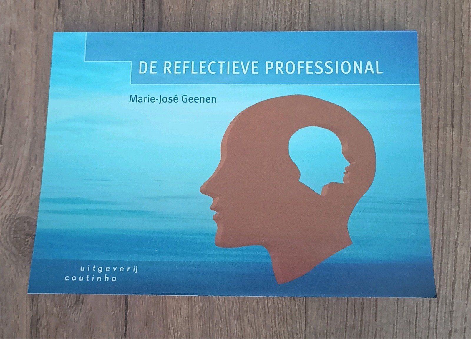 Marie - Jose Geenen - De reflectieve professional, Sociale wetenschap, Ophalen of Verzenden, Zo goed als nieuw, Marie - Jose Geenen