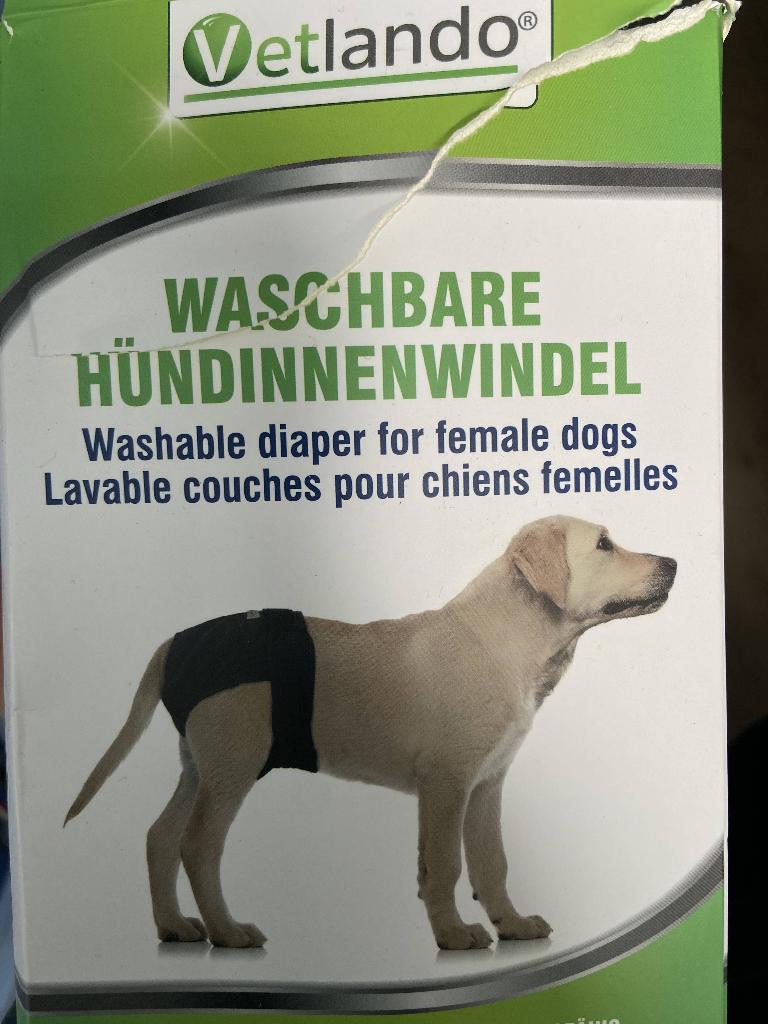 loopsheidbroekje XL, Dieren en Toebehoren, Honden-accessoires, Ophalen of Verzenden, Zo goed als nieuw