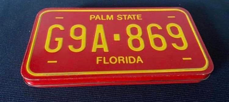 Blik met nummerplaat. Palm State G9A - 869 Florida, Ophalen of Verzenden, Zo goed als nieuw, Overige, Overige merken