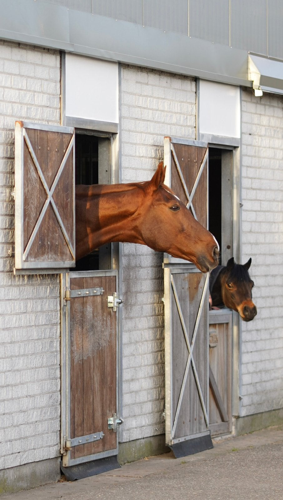 Stal beschikbaar in Berkel en Rodenrijs, Dieren en Toebehoren, Stalling, 1 paard of pony