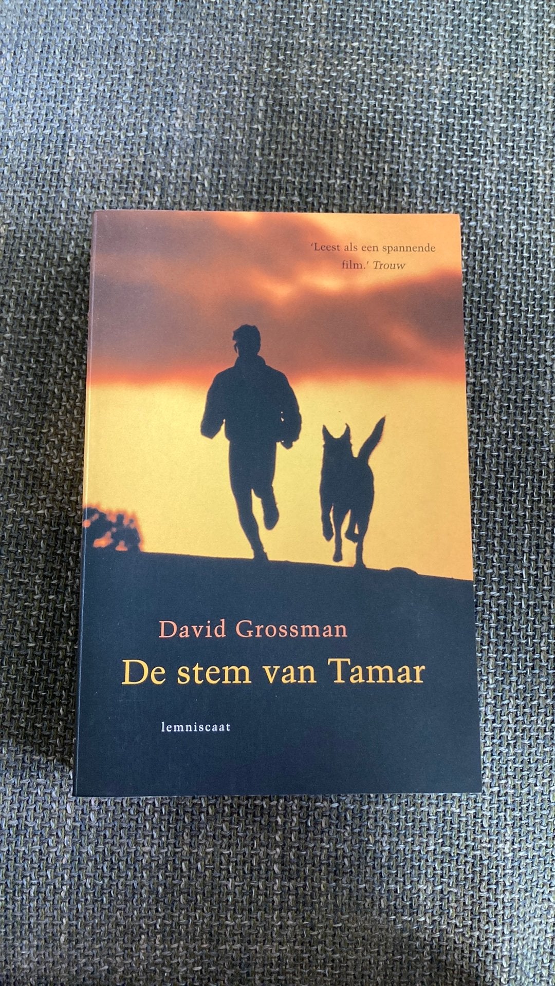 David Grossman - De stem van Tamar, Ophalen, Zo goed als nieuw, David Grossman