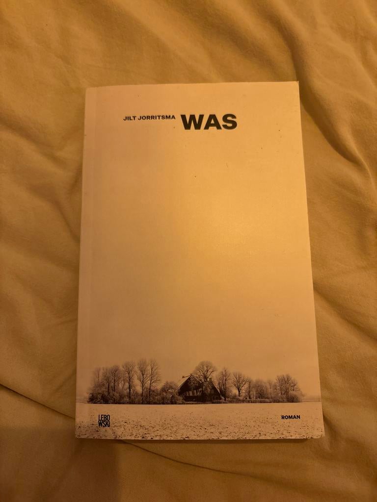 Jilt Jorritsma - Was, Boeken, Literatuur, Zo goed als nieuw, Ophalen of Verzenden