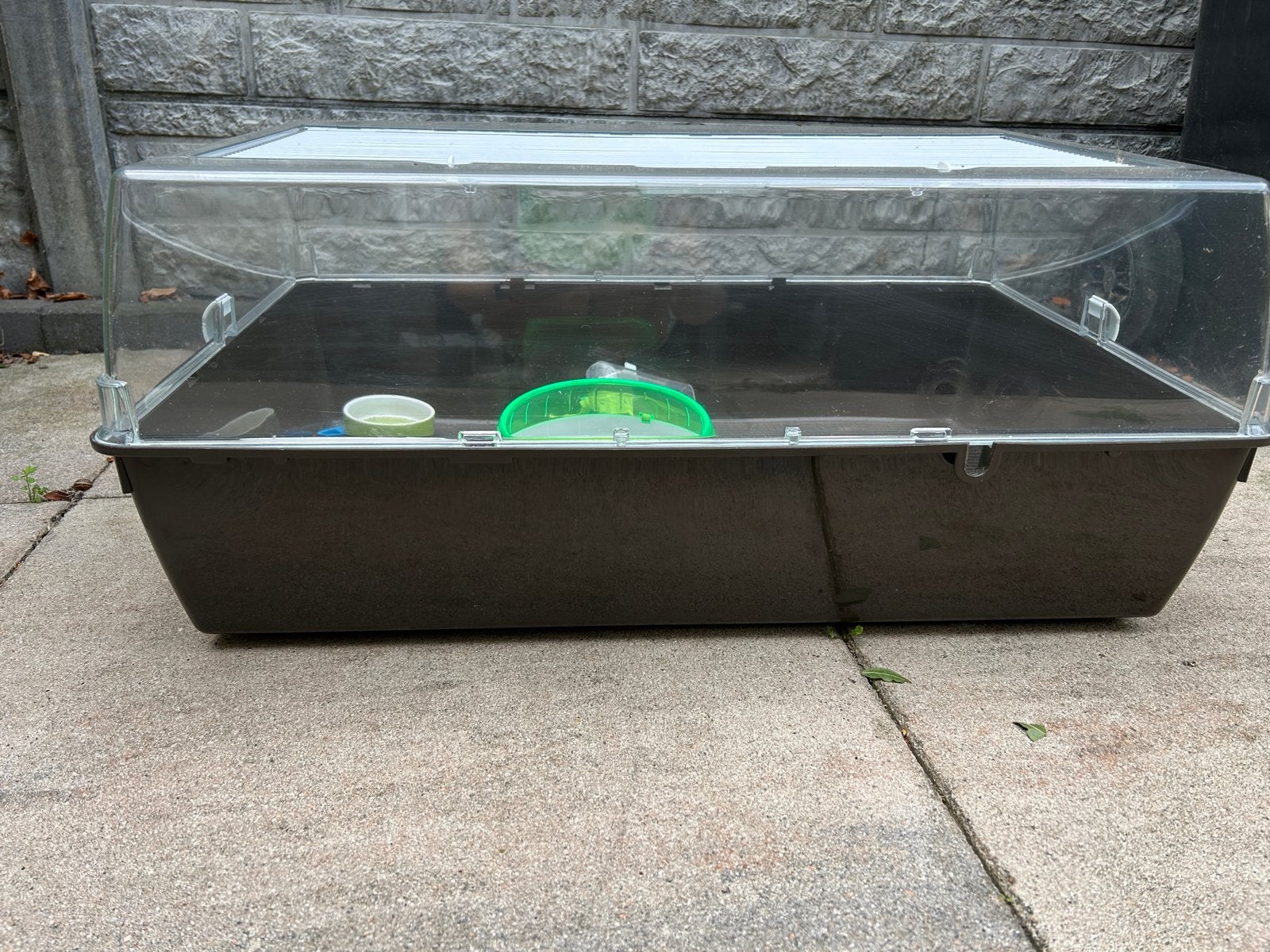 Hamsterhok, Dieren en Toebehoren, Ophalen