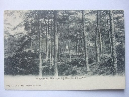Q53 Wouwsche Plantage bij Bergen op Zoom, Verzenden, Voor 1920, Gelopen, Noord-Brabant