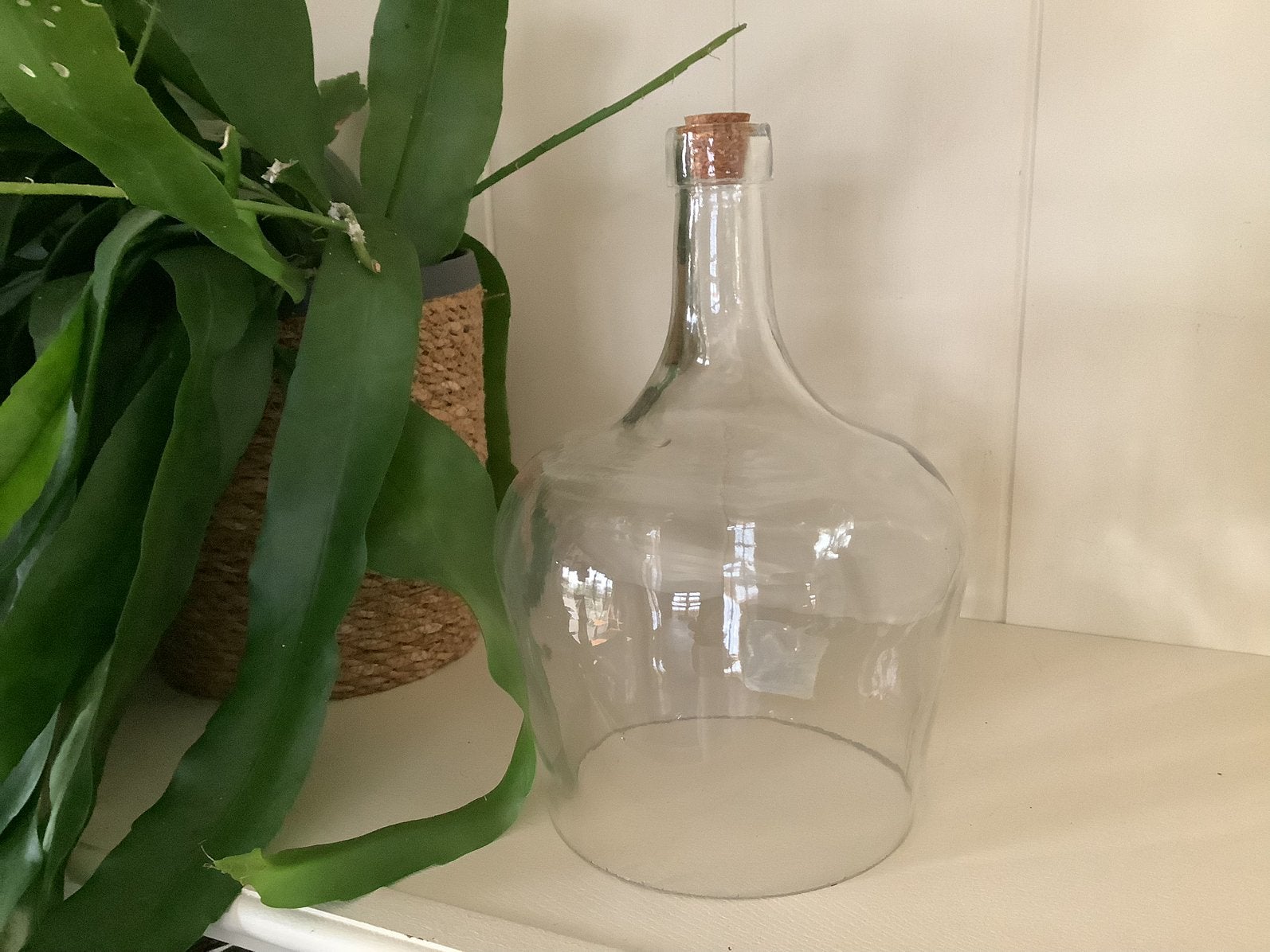 NIEUW Countryfield glazen stolp, Ophalen of Verzenden, Nieuw