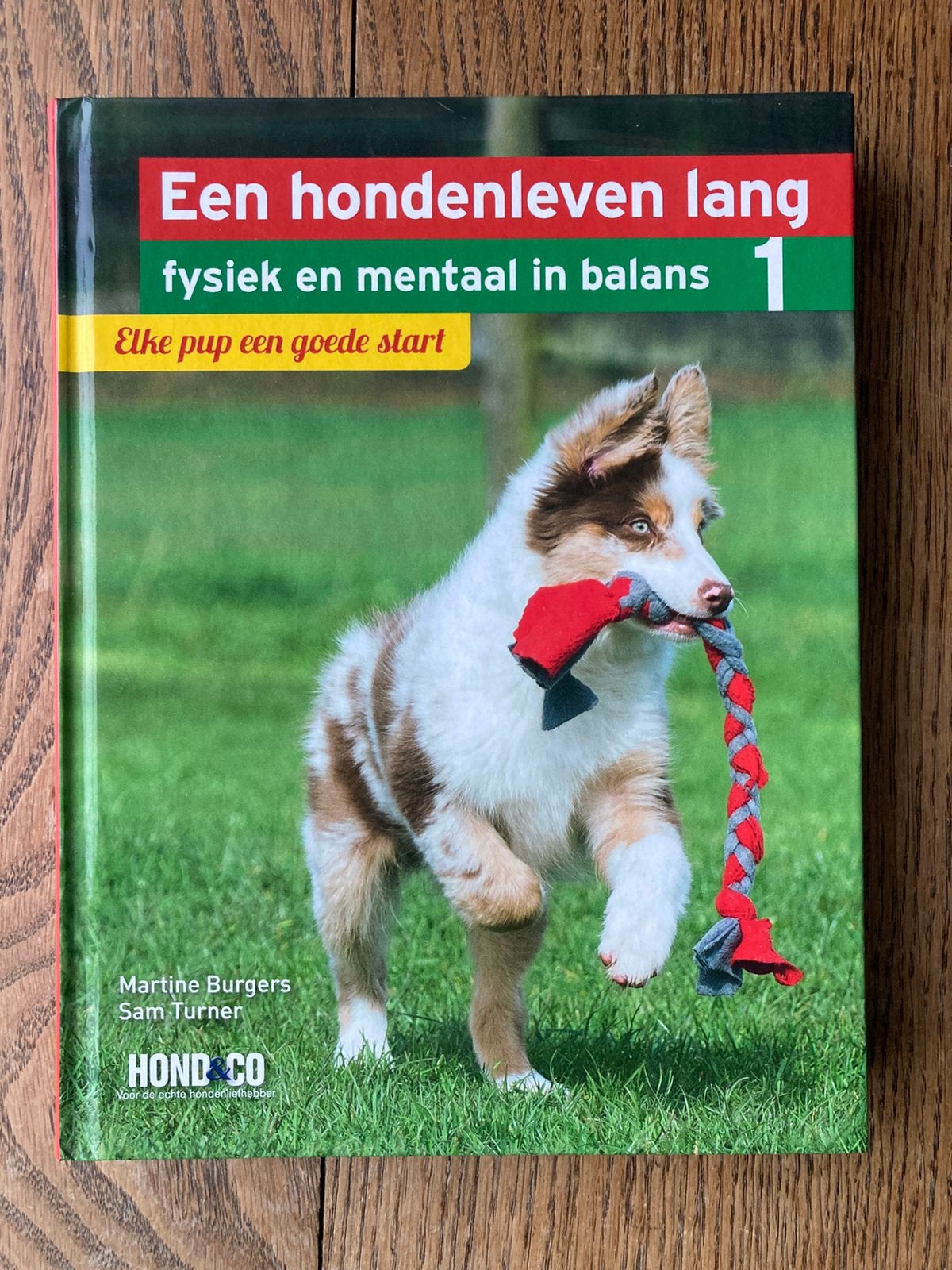 Martine Burgers - Elke pup een goede start, Honden, Ophalen of Verzenden, Zo goed als nieuw, Martine Burgers; Sam Turner