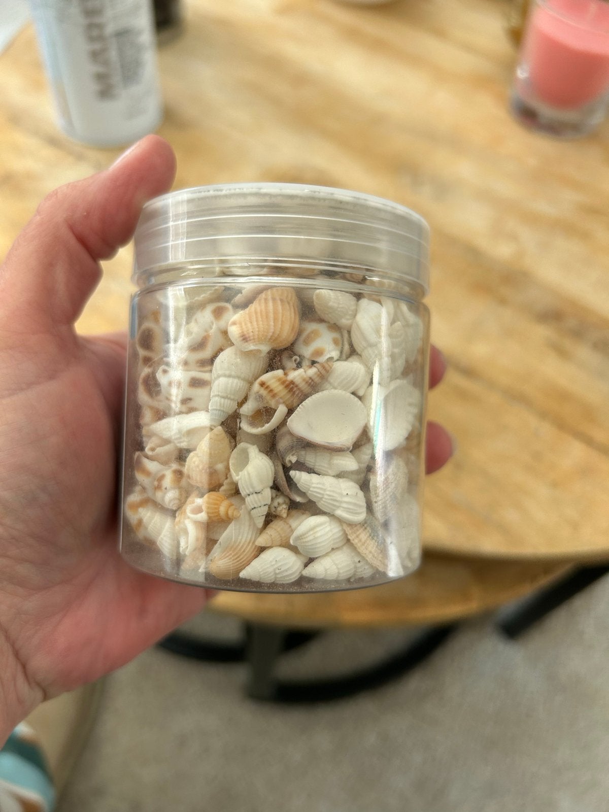 Decoratieve schelpen in potje, Hobby en Vrije tijd, Ophalen of Verzenden, Nieuw